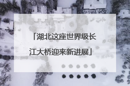 湖北这座世界级长江大桥迎来新进展