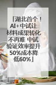 湖北首个！AI+中试让材料成果转化不再难 中试验证效率提升50%成本降低60%