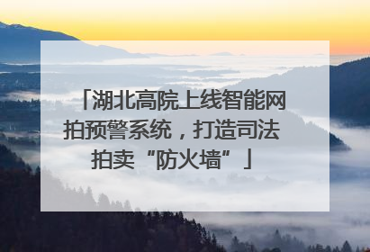 湖北高院上线智能网拍预警系统，打造司法拍卖“防火墙”