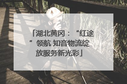 湖北黄冈：“红途”领航 知音物流绽放服务新光彩