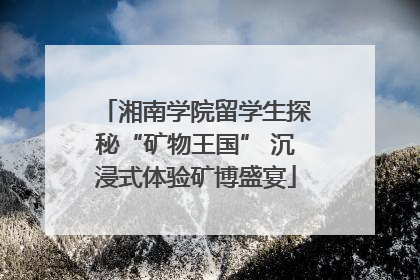 湘南学院留学生探秘“矿物王国” 沉浸式体验矿博盛宴