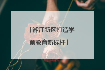 湘江新区打造学前教育新标杆