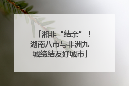 湘非“结亲”！湖南八市与非洲九城缔结友好城市