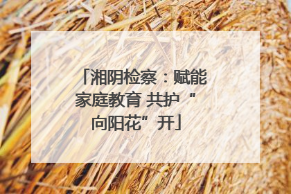 湘阴检察：赋能家庭教育 共护“向阳花”开