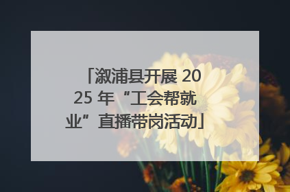 溆浦县开展 2025 年“工会帮就业”直播带岗活动