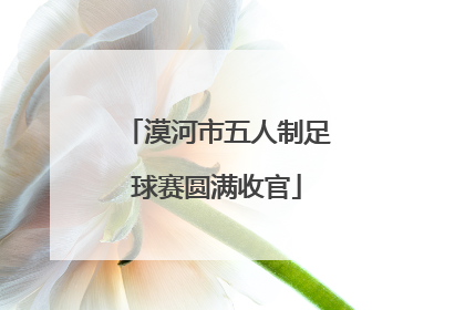 漠河市五人制足球赛圆满收官