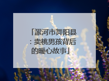漯河市舞阳县：卖桃男孩背后的暖心故事