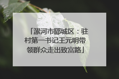 漯河市郾城区：驻村第一书记王元明带领群众走出致富路