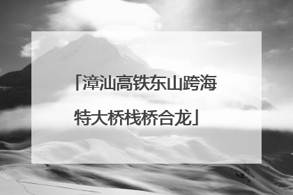 漳汕高铁东山跨海特大桥栈桥合龙