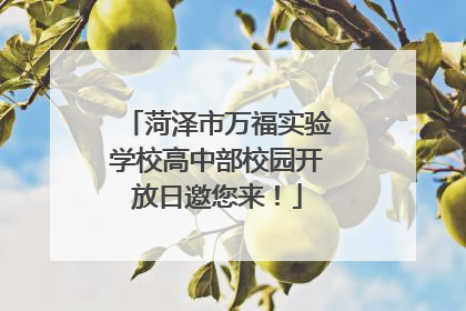 菏泽市万福实验学校高中部校园开放日邀您来！