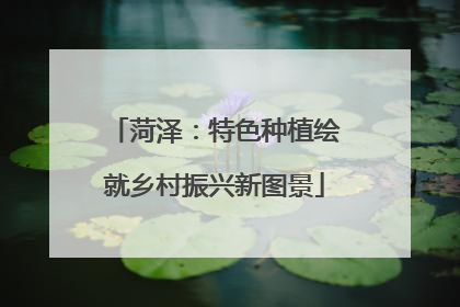 菏泽：特色种植绘就乡村振兴新图景