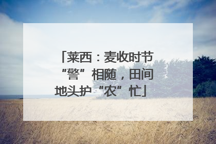 莱西：麦收时节“警”相随，田间地头护“农”忙