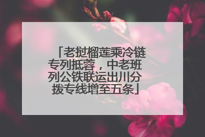 老挝榴莲乘冷链专列抵蓉，中老班列公铁联运出川分拨专线增至五条