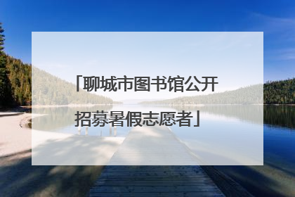 聊城市图书馆公开招募暑假志愿者