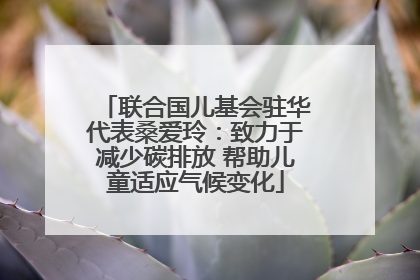联合国儿基会驻华代表桑爱玲：致力于减少碳排放 帮助儿童适应气候变化