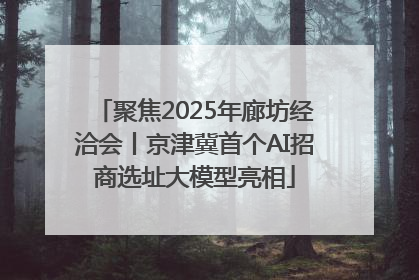 聚焦2025年廊坊经洽会丨京津冀首个AI招商选址大模型亮相