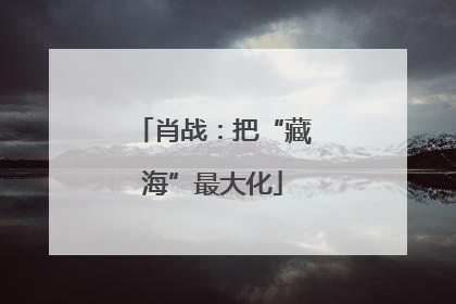 肖战：把“藏海”最大化