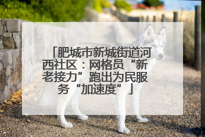 肥城市新城街道河西社区：网格员“新老接力”跑出为民服务“加速度”