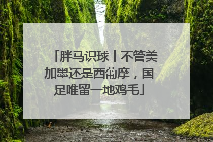 胖马识球丨不管美加墨还是西葡摩，国足唯留一地鸡毛