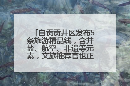 自贡贡井区发布5条旅游精品线，含井盐、航空、非遗等元素，文旅推荐官也正在报名选拔中