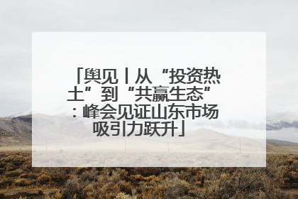舆见丨从“投资热土”到“共赢生态”：峰会见证山东市场吸引力跃升