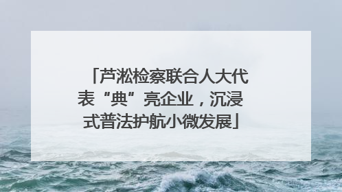 芦淞检察联合人大代表“典”亮企业，沉浸式普法护航小微发展