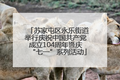 苏家屯区永乐街道举行庆祝中国共产党成立104周年暨庆“七一”系列活动
