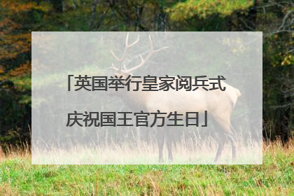 英国举行皇家阅兵式庆祝国王官方生日