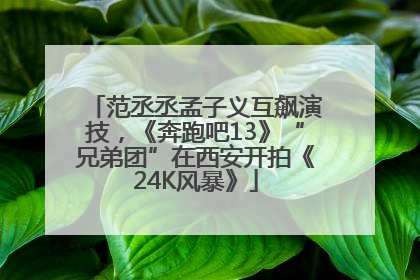 范丞丞孟子义互飙演技，《奔跑吧13》“兄弟团”在西安开拍《24K风暴》