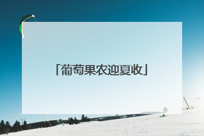 葡萄果农迎夏收