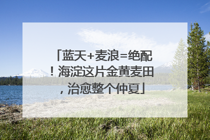 蓝天+麦浪=绝配！海淀这片金黄麦田，治愈整个仲夏