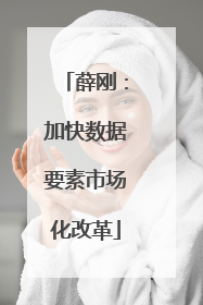 薛刚：加快数据要素市场化改革