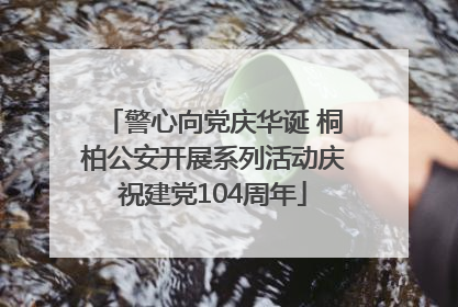 警心向党庆华诞 桐柏公安开展系列活动庆祝建党104周年