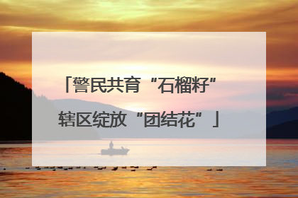 警民共育“石榴籽” 辖区绽放“团结花”
