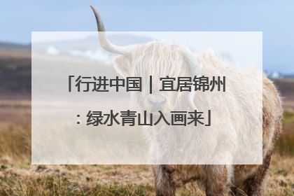 行进中国｜宜居锦州：绿水青山入画来