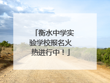 衡水中学实验学校报名火热进行中！