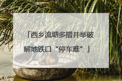 西乡流塘多措并举破解地铁口“停车难”