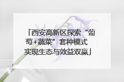 西安高新区探索“葡萄+蔬菜”套种模式 实现生态与效益双赢