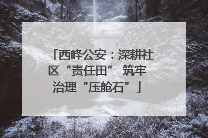 西峰公安：深耕社区“责任田” 筑牢治理“压舱石”