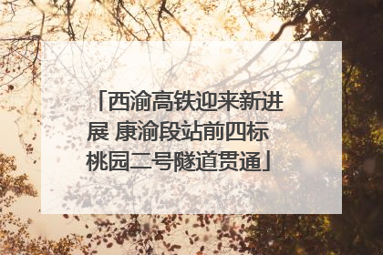 西渝高铁迎来新进展 康渝段站前四标桃园二号隧道贯通