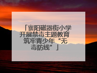 襄阳磁器街小学开展禁毒主题教育 筑牢青少年“无毒防线”
