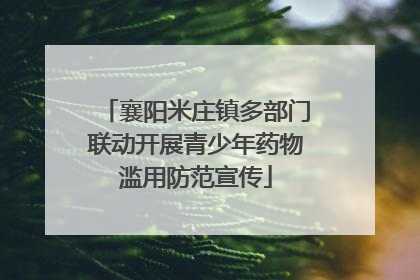 襄阳米庄镇多部门联动开展青少年药物滥用防范宣传