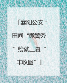 襄阳公安：田间“微警务”绘就三夏“丰收图”