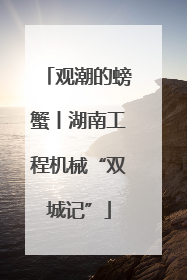 观潮的螃蟹丨湖南工程机械“双城记”