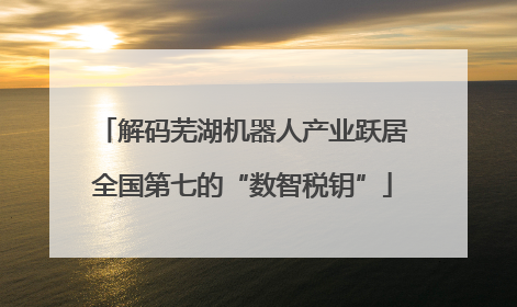 解码芜湖机器人产业跃居全国第七的“数智税钥”