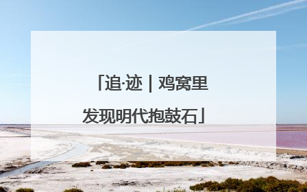 追·迹｜鸡窝里发现明代抱鼓石