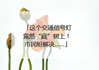 这个交通信号灯竟然“藏”树上！市民盼解决……