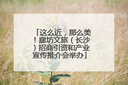 这么近，那么美！廊坊文旅（长沙）招商引资和产业宣传推介会举办