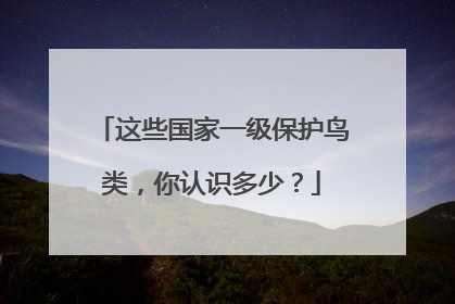 这些国家一级保护鸟类，你认识多少？