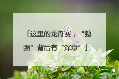 这里的龙舟赛，“勉强”背后有“深意”